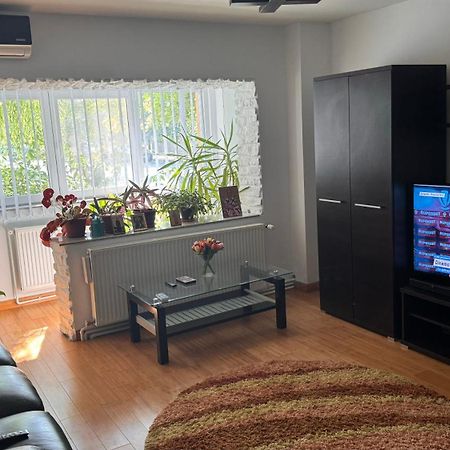 Apartament 3 Camere 奥托佩尼 外观 照片